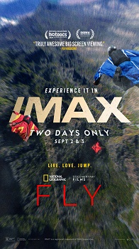 Poster for Fly