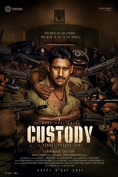 Poster for Custody