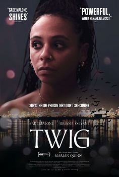 Poster for Twig